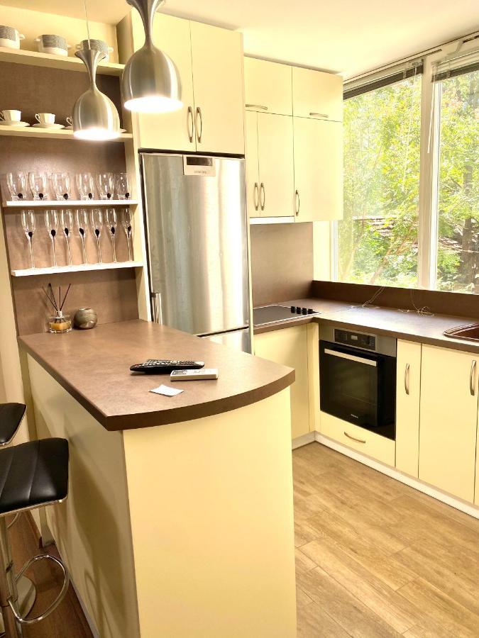 Central Apartment Płowdiw Zewnętrze zdjęcie